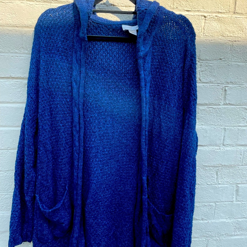 Christopher Banks Navy Blue hooded sweater